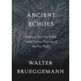 thumbnail image 1 of Pre-Owned Ancient Echoes: Refusing the Fear-Filled, Greed-Driven Toxicity of the Far Right (Paperback) 150649496X 9781506494968, 1 of 2