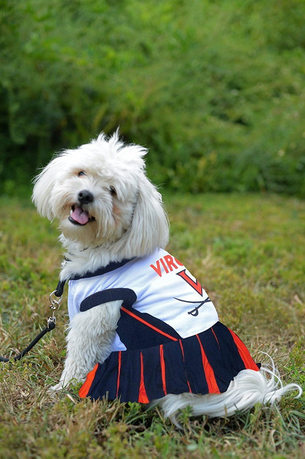 uva dog clothes