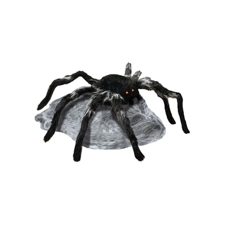Jumping Spider Black
