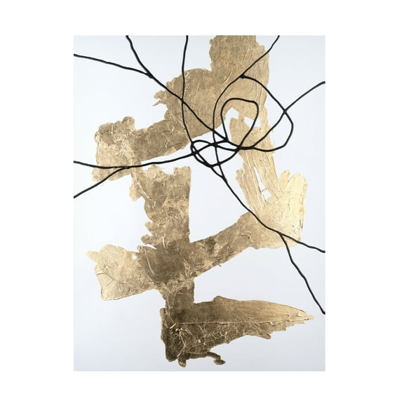Trademark Fine Art Michael Willett Gold Vein II Canvas Wall Art