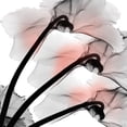 thumbnail image 2 of Koetsier, Albert 12x12 Gold Ornate Wood Framed with Double Matting Museum Art Print Titled - Coral Luster Cyclamen 2, 2 of 4
