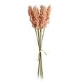 thumbnail image 1 of Yuarrent 1/6/10 Uds. Espigas de grano pequeñas frescas con simulación de hierba ramo de flores flores secas decoración pastoral natural para el hogar Flores artificiales rosa Yuarrent HA6566-01B, 1 of 6