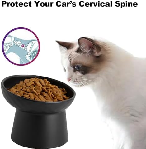 6 inch Small Ceramic Raised Cat Bowls, Tilted Elevated Food or Water Bowls, Stress Free, Backflow Prevention, Dishwasher and Microwave Safe, Lead & Cadmium Free(Black 6 inch-2pc)
