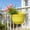 Multicolor#409, variant on Halons Indoor outdoor wall mounted planter with drainage holes, multicolor plastic hanging flower pot, 8.26 x 6.69 x 4.72 in, decorative balcony and terrace decor