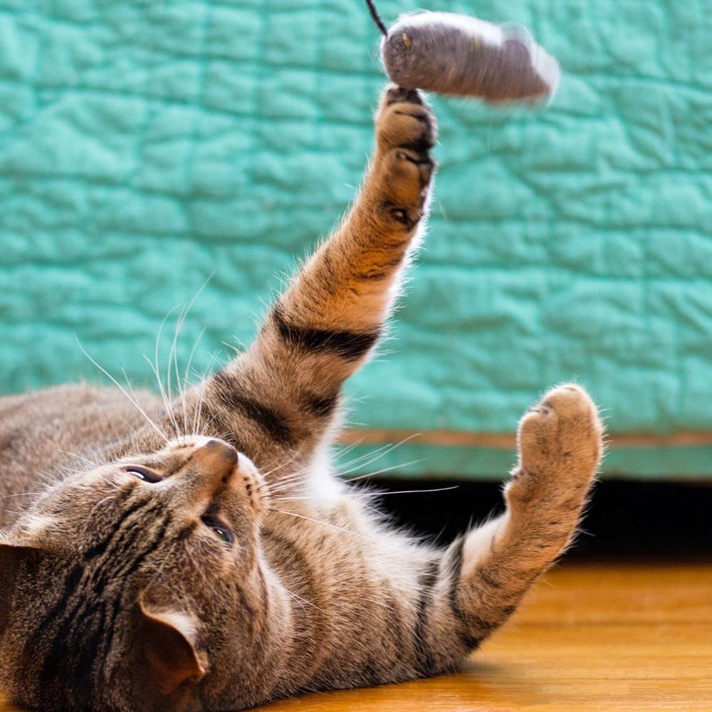Meow Mix Irresistibles Soft Cat Treats 2 Flavor 4 Pouch Variety Pack (2 Each): Salmon, White Meat Chicken + MerlinsMart Zine | Catnip Toy