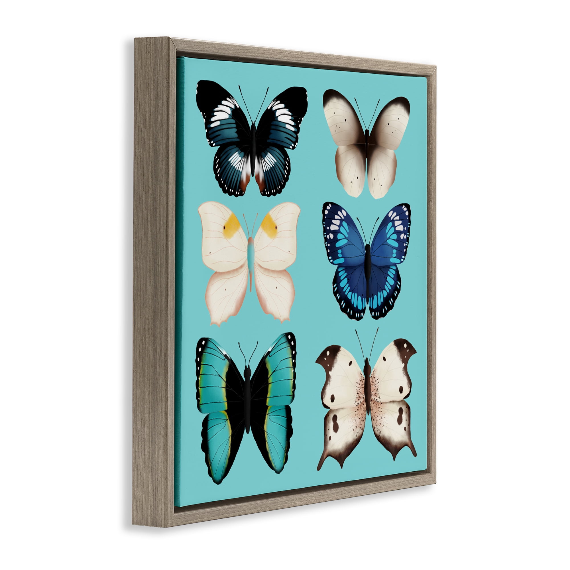Stupell Industries Six Diverse Butterflies on Turquoise Brown Framed Floater Canvas Wall Art, design by Metka Hiti