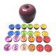 thumbnail image 2 of Juguete Montessori con diseño de manzana para niños, entrenamiento de concentración, regalos profesionales. Número, 2 of 9