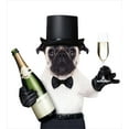 thumbnail image 3 of Pug Duvet Cover Set, Celebration Dog with Champagne Bottle While Toasting Happy Moments Photographs, Decorative 3 Piece Bedding Set with 2 Pillow Shams, Calking Size, Black White Emerald, by Ambesonne, 3 of 3
