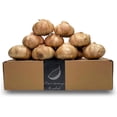 thumbnail image 1 of Ajo Negro By Hierba Linda Vegan 800 gr, 1 of 2