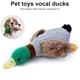 thumbnail image 5 of PET sonido juguete peluche forma de pato limpieza animal masticar interactivo divertido mascotas entrenamiento persiguiendo chasquidos juguetes juguetes entretenimiento pato pies sidaley PT003557-01, 5 of 7