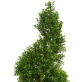 thumbnail image 2 of Nearly Natural 4 ft. Spiral Boxwood Artificial Tree, UV Resistant (Indoor/Outdoor), 2 of 5