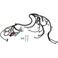 Wiring Harness Swap, LS Swap Standalone Wiring Harness Drive By Wire