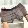 thumbnail image 3 of Wmool Men's Sexy Sheer Boxer Briefs Seamless See-through Ice Silk Underwear #Ultra#, 3 of 9