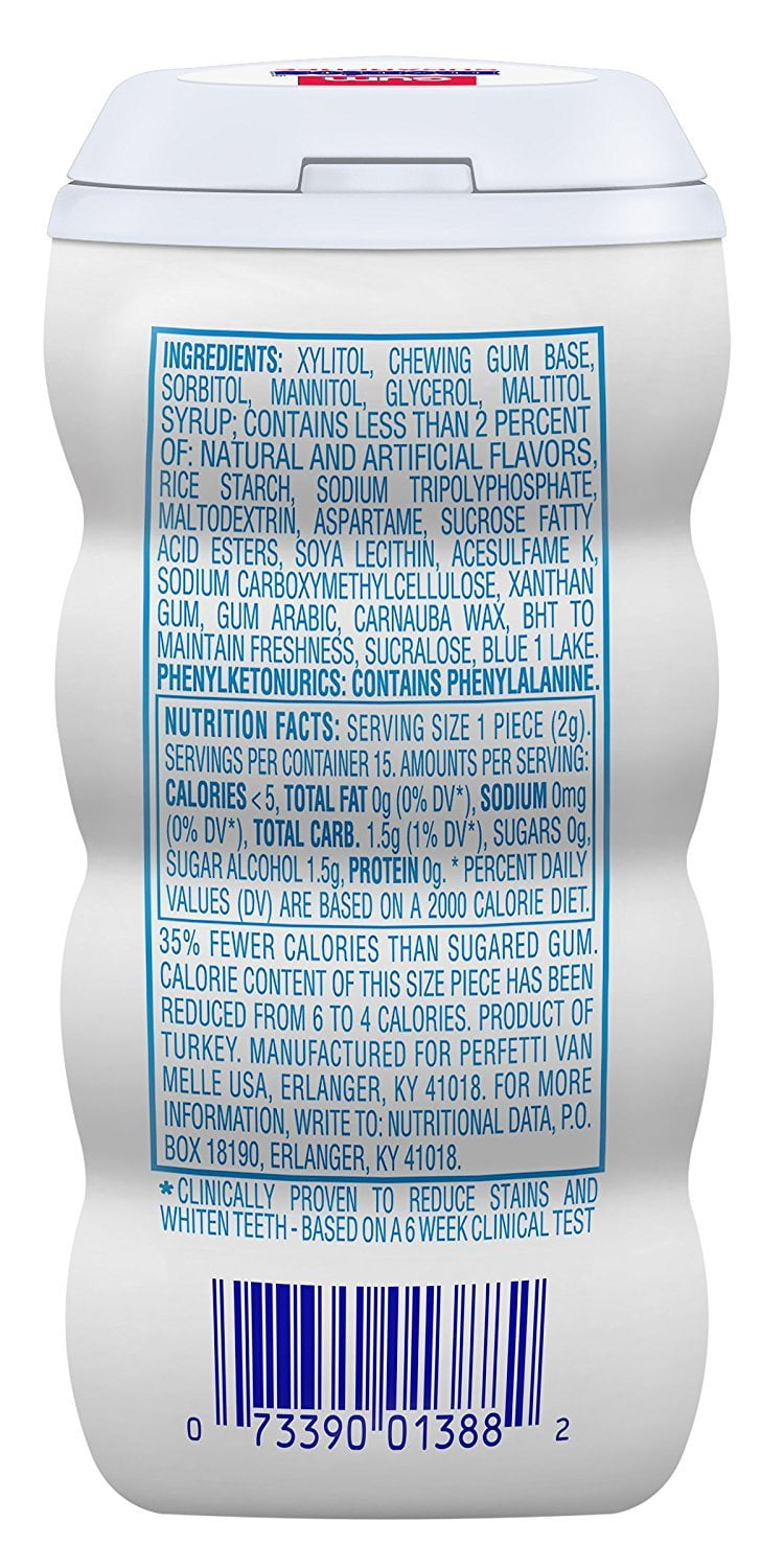 Mentos Gum Pocket Bottle, Pure White Sweet Mint, 1.06 Ounce Pack of 10