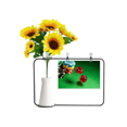 thumbnail image 1 of Dice Chips Green Table Photo Artificial Sunflower Vases Bottle Blessing Card, 1 of 3