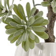thumbnail image 3 of Bouclair Green Lotus in Ceramic Pot, 3 of 5