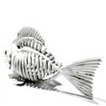 thumbnail image 4 of Skeleton Fish Halloween Decor Model, Animal Carp Skull Fishes Bone Art Ornaments, for Home Room B, 4 of 6