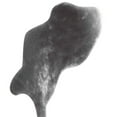 thumbnail image 3 of POINTERTECK Vêtement, 3 of 9