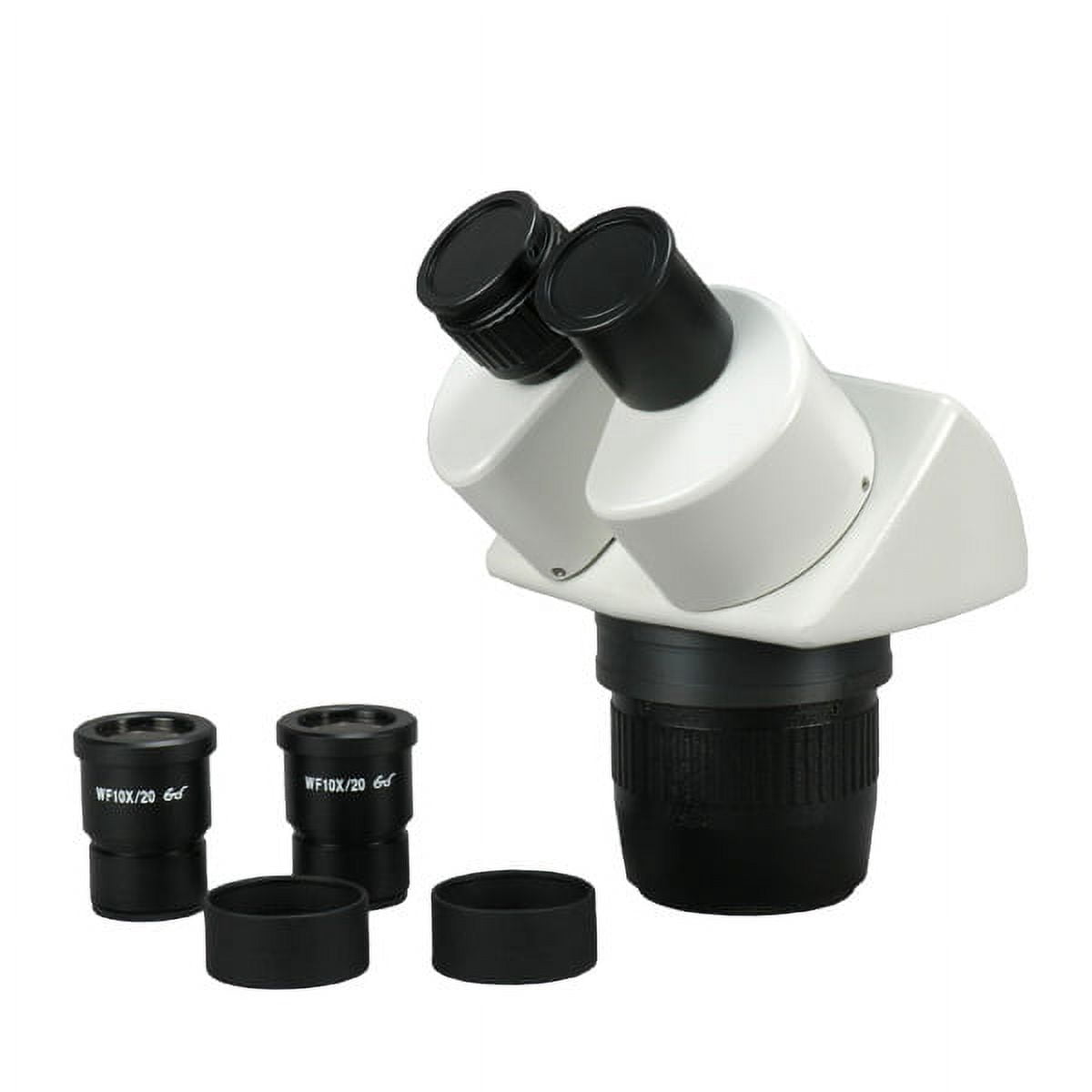 20X/40X Widefield Stereo Microscope, Binocular, Post Stand (Height 140mm) Fixed Head | Boli