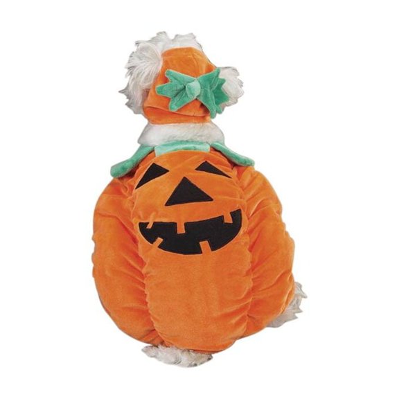 Zack & Zoey Pumpkin Pooch Dog Costume, X-Large, Orange