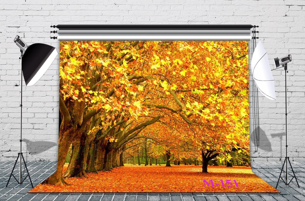 GreenDecor Polyster 7x5ft The Golden Maple Leaves of the World Autumn Scenery Fall Photo Backdrop Photography Backdrop Background Studio Props