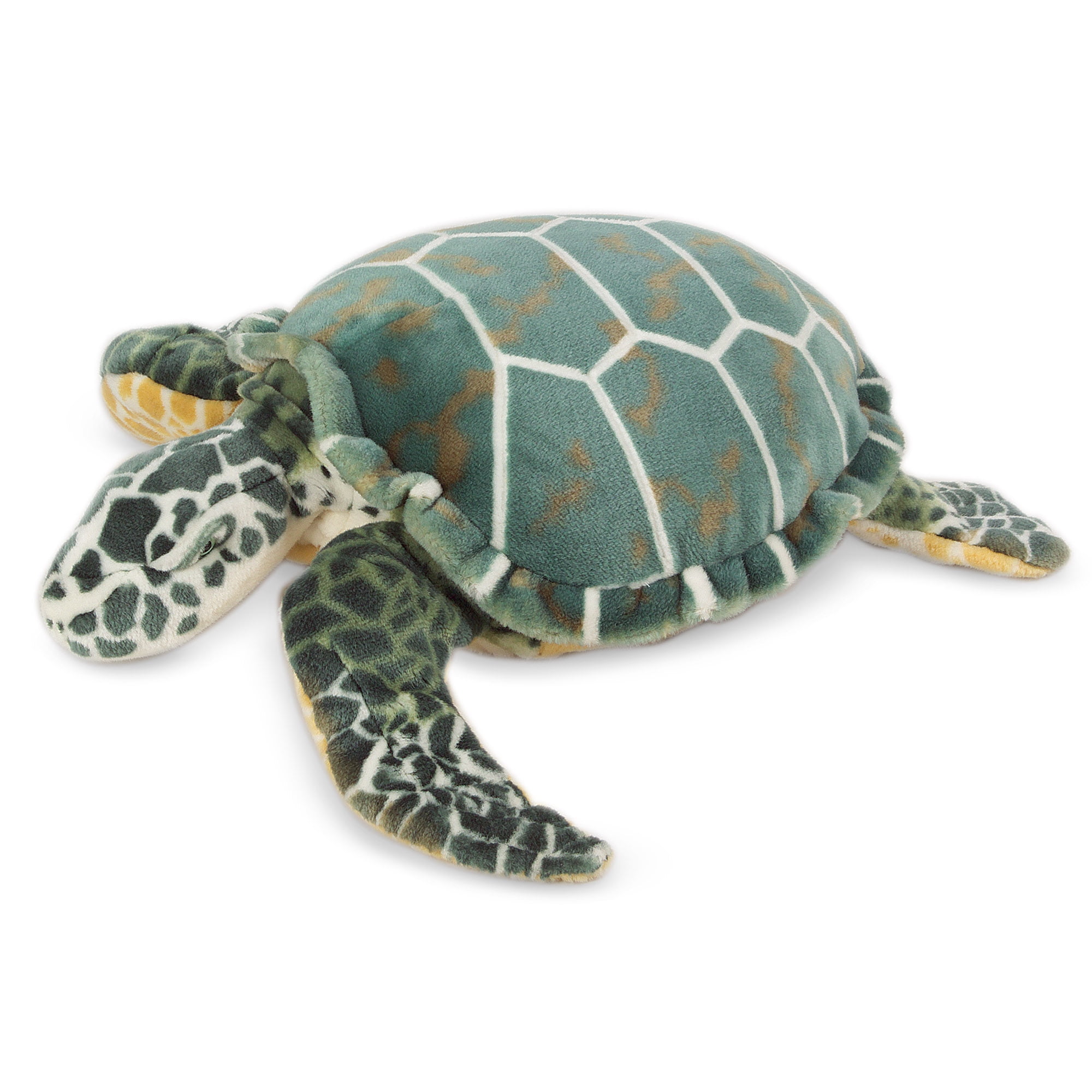 turtle teddies