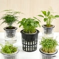 thumbnail image 4 of Hydroponic Planting Mesh Pot Net, Basket Garden Grow Cup,3Black, 4 of 6