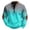 Cyan, variant on Men's Casual Sweatshirt American Gradient Print Round Neck Long Sleeve Half Pullover for Winter Retro Daily Wear,Cyan,L