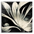 thumbnail image 1 of Epic Art 'Flowers Black White 29' by Ray Heere, Acrylic Glass Wall Art, 24"x24", 1 of 8