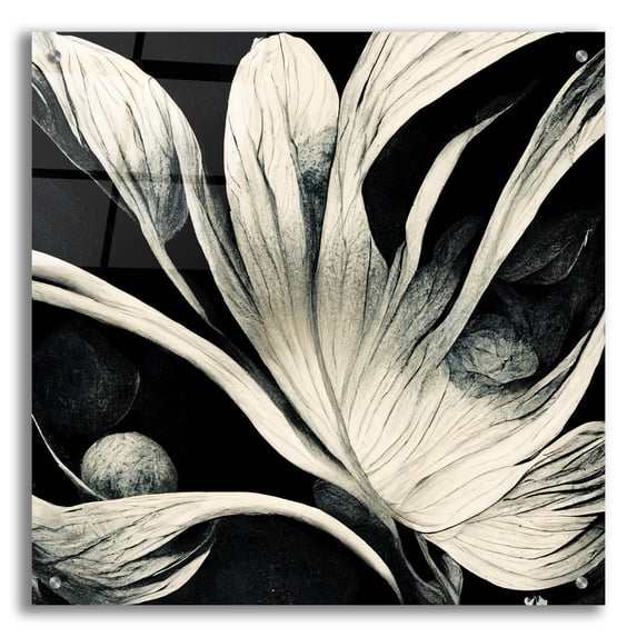 Epic Art 'Flowers Black White 29' by Ray Heere, Acrylic Glass Wall Art, 24"x24"