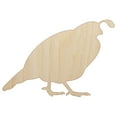 thumbnail image 1 of Plump California Quail Wood Shape Unfinished Piece Cutout Craft DIY Projects - 6.25 Inch Size - 1/8 Inch Thick, 1 of 7