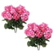 thumbnail image 2 of 2 Piezas Geranios Artificiales 12 6 Pulgadas Flores Imitación No Tejidas (melocotón), 2 of 4