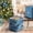 Blue, variant on LammaLoe Ornament Storage Box, 64-Count Christmas Ornament Storage , Foldable Holiday Ornament Organizer with Handles, Durable PVC Plastic