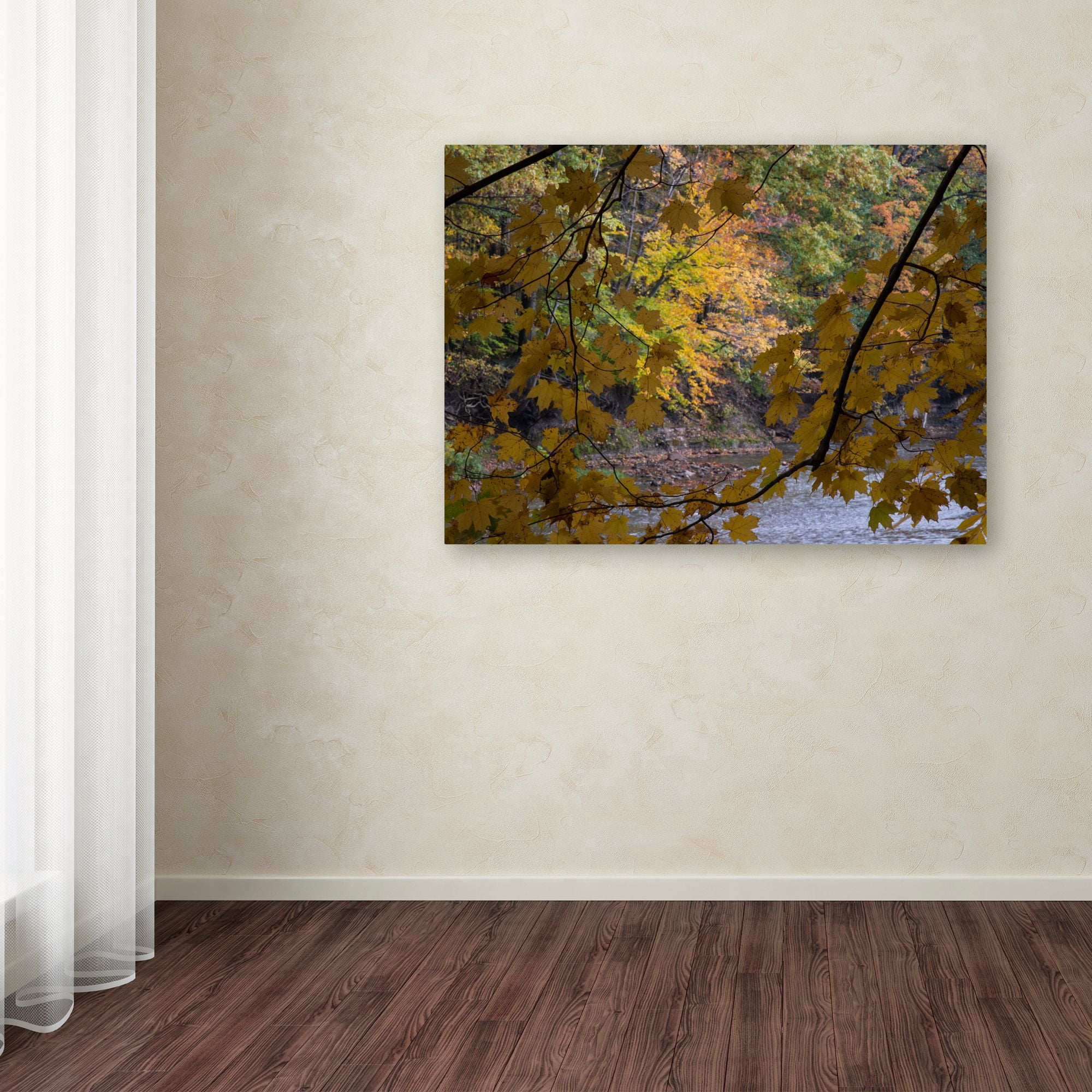 Trademark Fine Art "Brilliant Ohio Autumn" Canvas Art by Kurt Shaffer