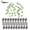 Green, variant on BOKYAN 60-Piece Terminal Tackle Carp Fishing Accessories - 20 Threaded Bait Screws & 40 White Hook Stopper Beads for Saltwater and Freshwater Trips