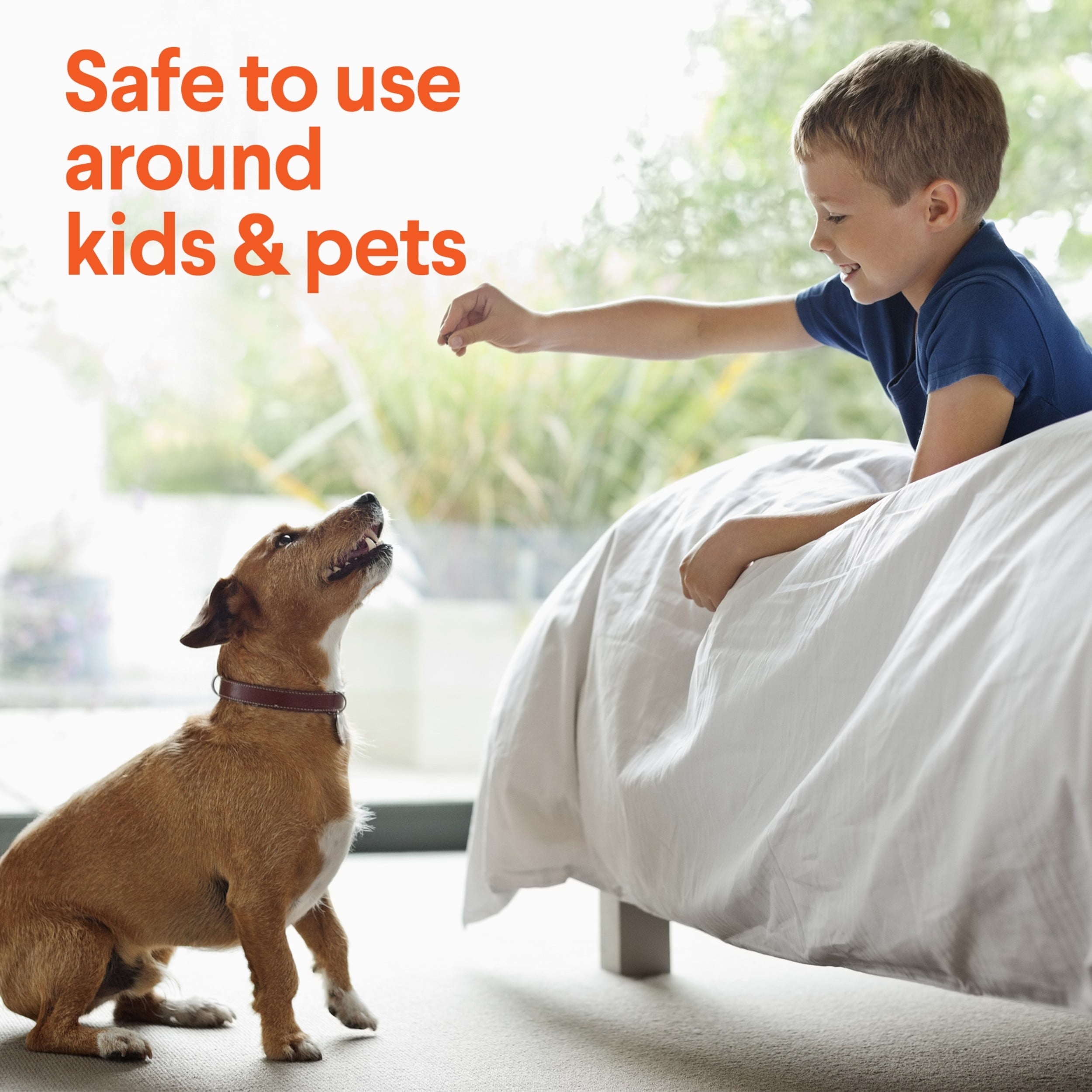 Clorox Pet Carpet Stain Remover Refill for Urine Stains and Odors, 24 fl oz