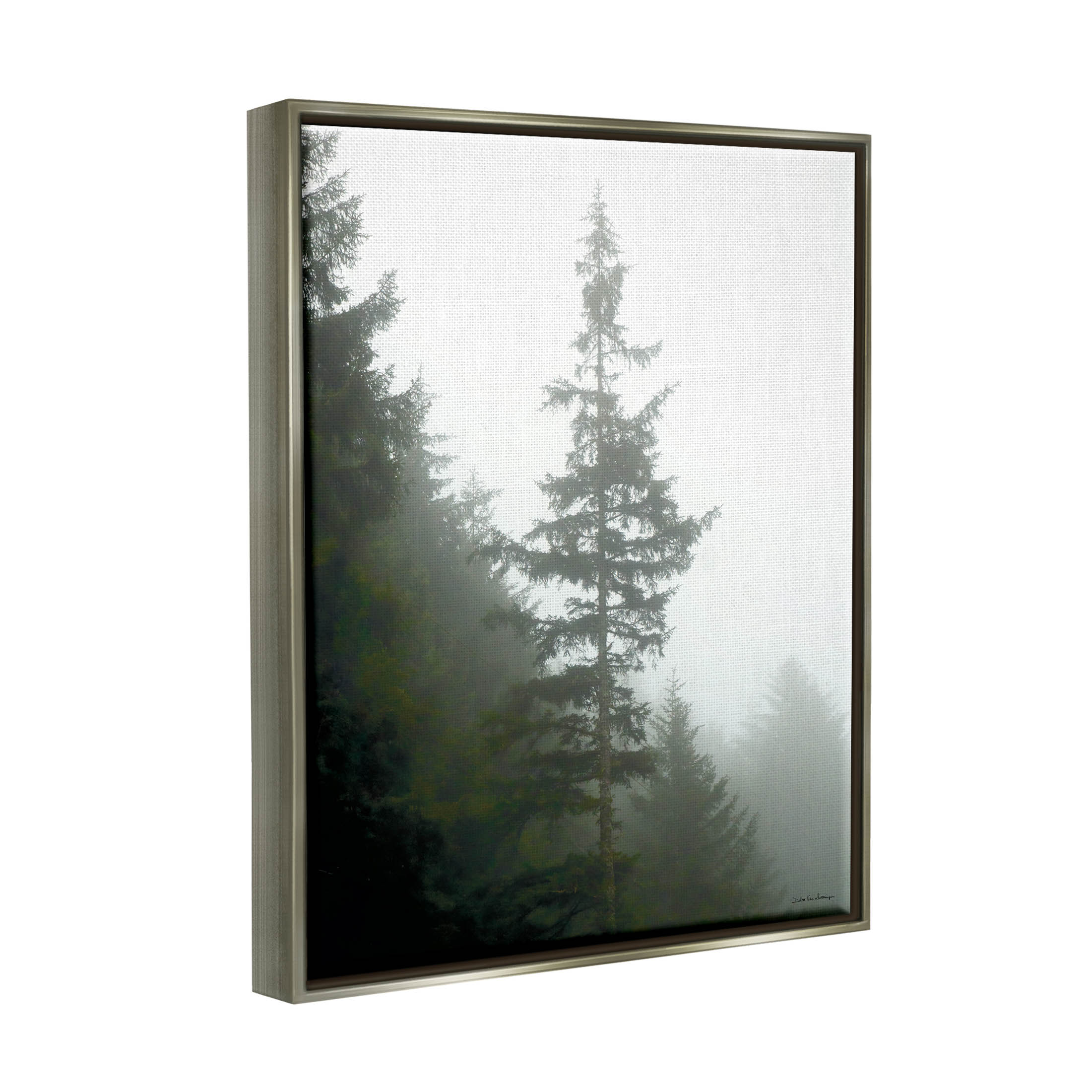 Stupell Industries Majestic Pine Foggy Forest Photograph Luster Gray Floating Framed Canvas Print Wall Art, Design by Debra Van Swearingen