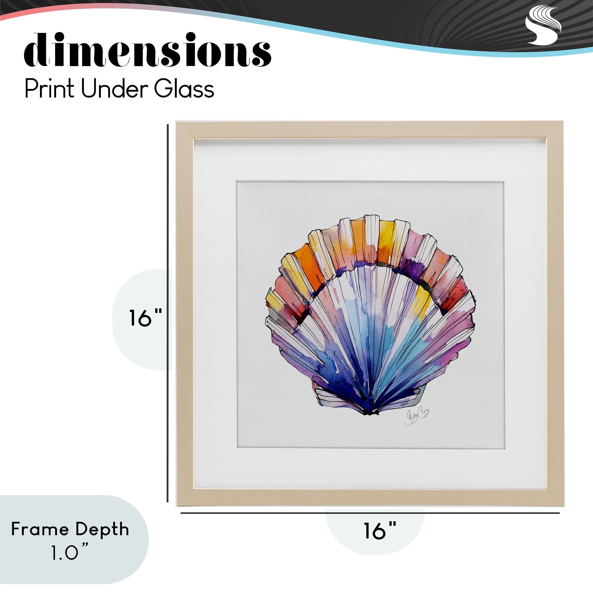 Stupell Industries Coastal Scallop Watercolor Birch Framed Print Under Glass, design by Shelly Craig