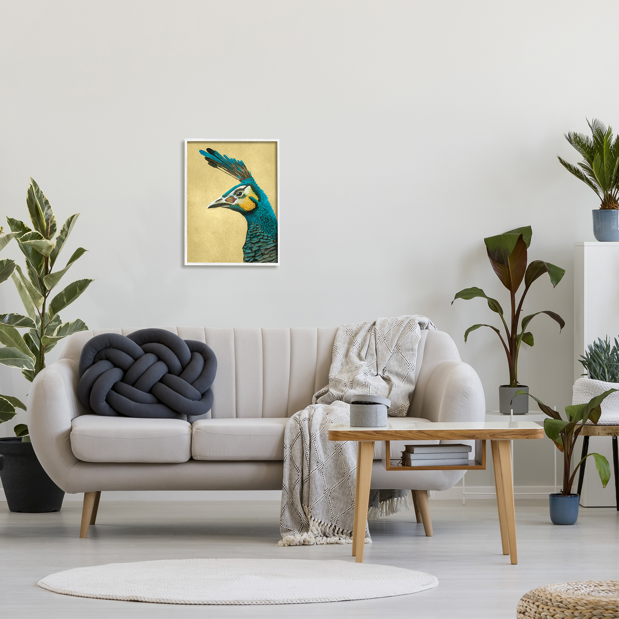 Stupell Industries Peacock Looking Left Animals & Insects Painting White Framed Art Print Wall Art, 16 x 20