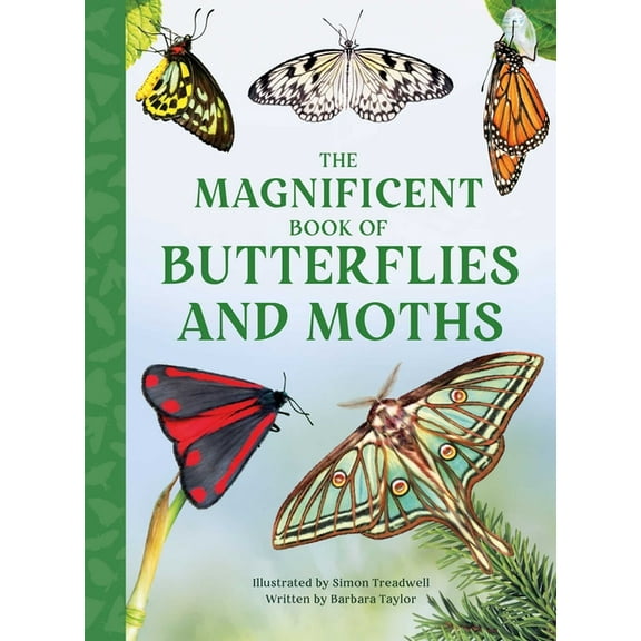 Magnificent Book of The Magnificent Book of Butterflies & Moths, (Hardcover)