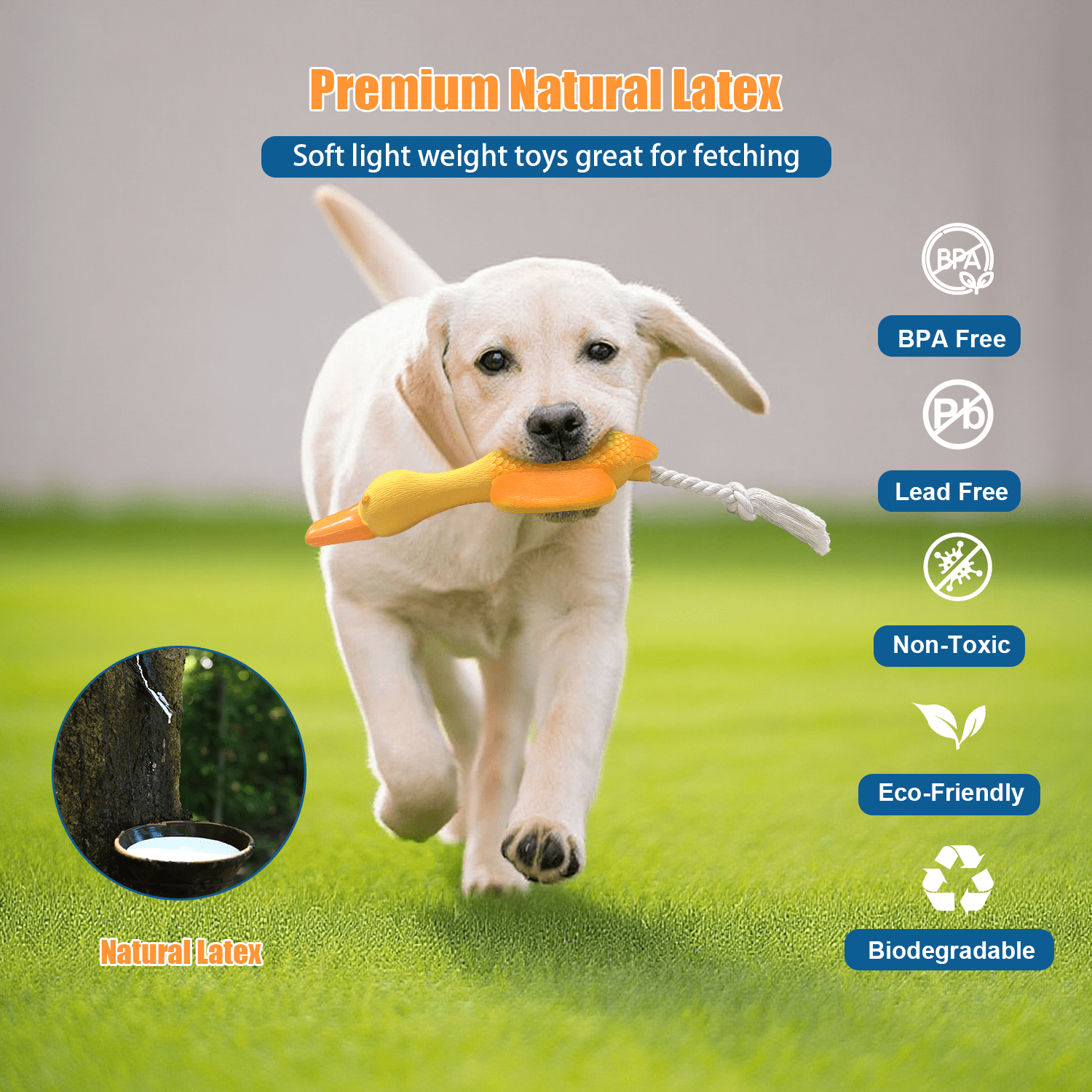 Latex Duck Dog Toys,Interactive Tug of War Dog Toy,Original Sound Squeaks,Durable Chew-Resistant Design for Clean Teeth,Great for Fetch, Casual Playtime, and Regular Chewing