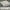 White, variant on Seilly Building Blocks Military MiniFigures Set of 16, Ghosts, SWAT, Special Forces Action Figures Sets Building Blocks Toys, Military Toys for Fans Kids Age 4+ (Snow Bomber)