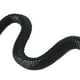 thumbnail image 5 of Jueguete de Imitación de Broma Accesorio de Jardín Serpiente de Goma Macarena Serpiente pretendo Trick Toy Jardín Atrezzo Rubebr, 5 of 8