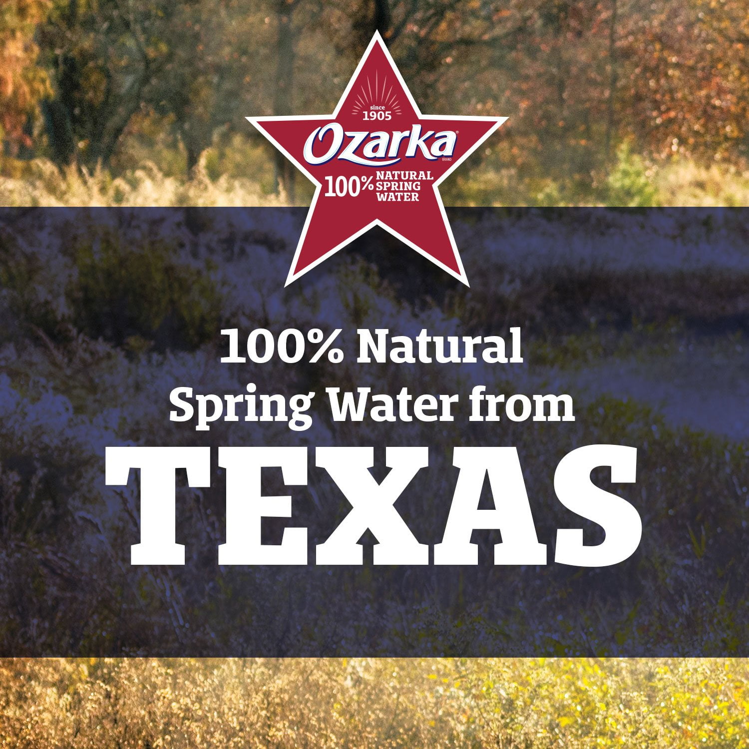 Ozarka Natural Spring Water 20 Fluid Ounce (Pack of 28)