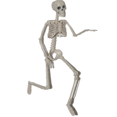 thumbnail image 1 of 40cmX10cm Popular Creative Human Skeleton Halloween Decoration Party Prop New with Movable Joints, 1 of 7