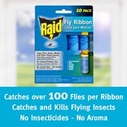 Raid Fly Ribbon Bug & Insect Catcher