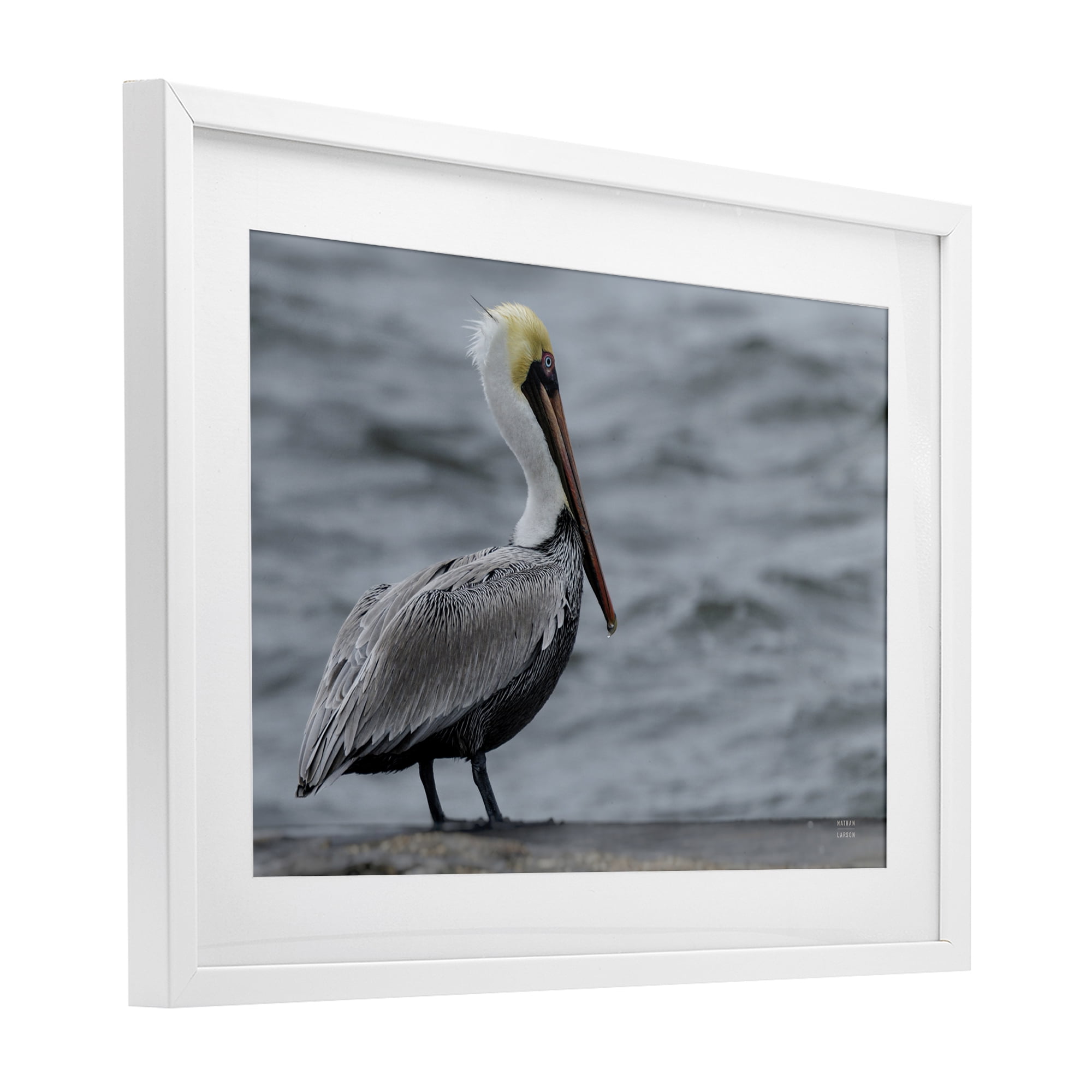 Stupell Industries Pelican Watch Photography White Framed Print Under Glass, design by Nathan Larson