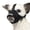Comfy-Black, variant on Dog Muzzle, Breathable Mesh Muzzles for Small Dogs 5-15bls, Chihuahua Muzzle for Biting Barking, Adjustable Puppy Muzzle XS Extra Small Muzzle (Comfy-Purple)