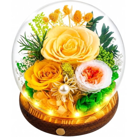 Preserved Roses in Glass Dome with LED Light Long Lasting Real Forever Eternal Rose for Mother s Day Valentine s Day Birthday Gifts for Women Mum Wife Girlfriend (Champagne)