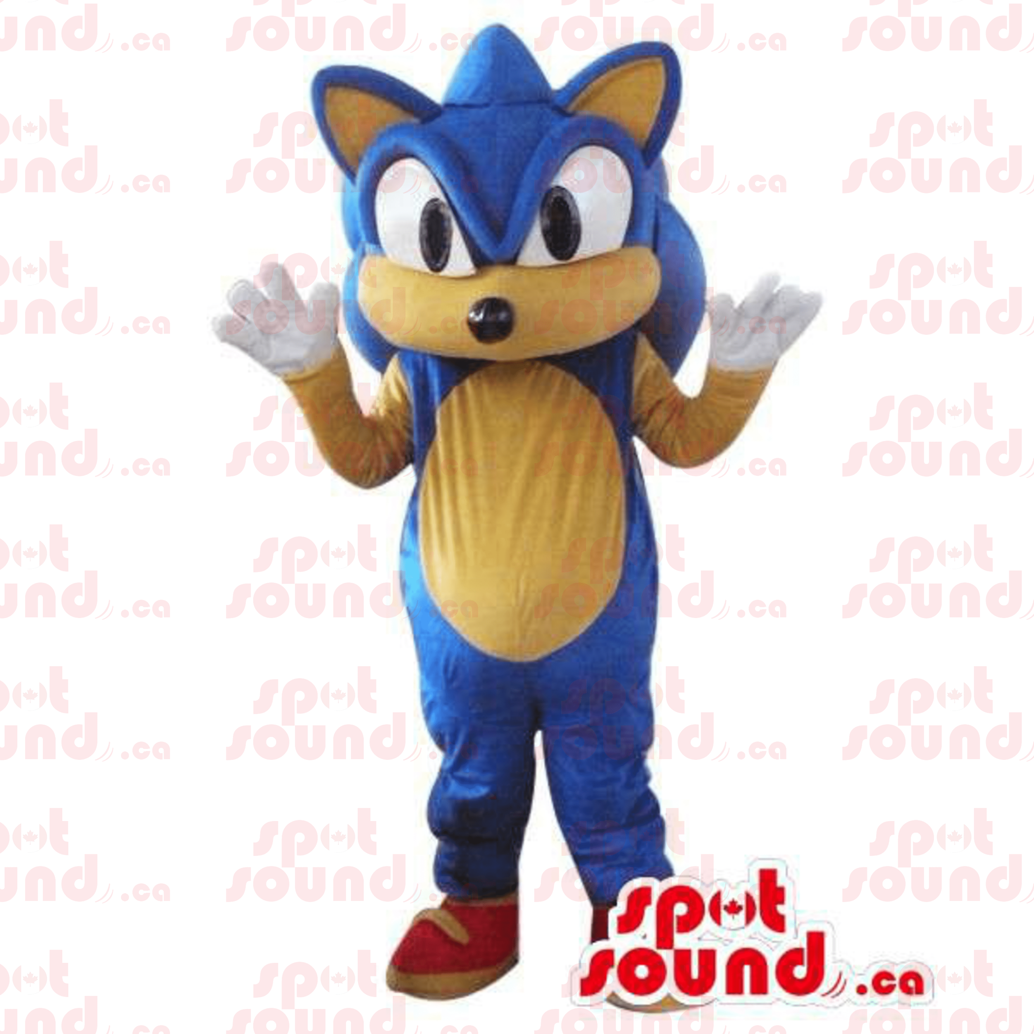 Sonic The Hedgehog WellKnown Video Game